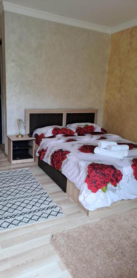 Casa De Vacanta Emd Ieşelniţa Exterior foto